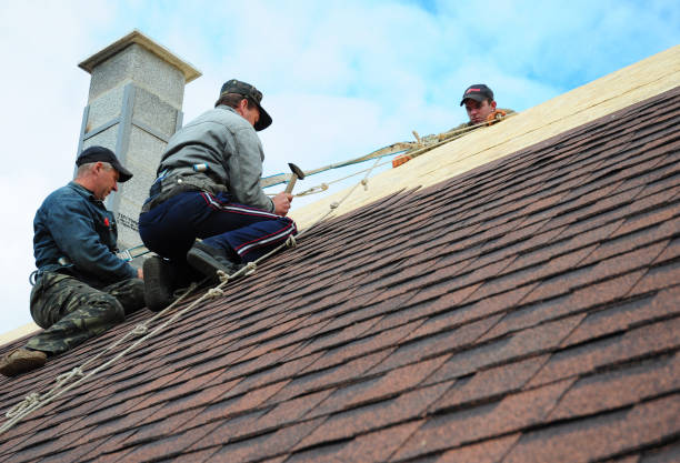 Roof Gutter Cleaning in Pamplico, SC
